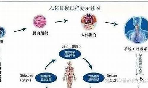 人体元神的能力有多强啊-人体元神的能力有多强